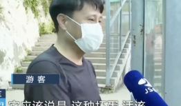 网红男朋友吃瓜爆料,娱乐圈背后的惊人真相